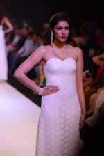 Model walk the ramp for Kashi Jewels on Day 4 of IIJW 2013 on 7th Aug 2013 (64).JPG
